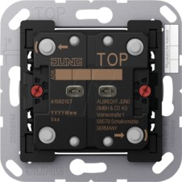 JUNG JG A 10921 ST - Pulsador universal KNX, 2 vías, F10, seguro, serie AS/A.