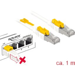 DELOCK 85331 - Cable de conexión RJ45 Cat.6a SFTP Secure 1,0 m