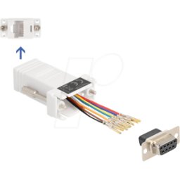 DELOCK 67105 - D-Sub de 9 clavijas > toma RJ45 Juego de montaje, blanco