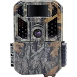 BRAUN PHOTOTECHNIK BRAUN 57648 - Cámara de vigilancia, para observación de la fauna