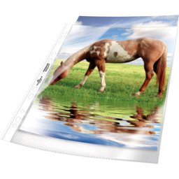DURABLE 267719 - Fundas de folletos, a4, transparente, Premium, 50 unidades