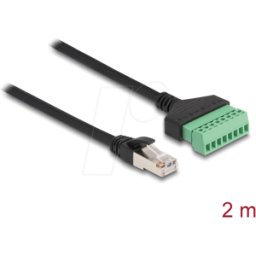 DELOCK 66041 - Cable RJ45 enchufe Cat.6 > bloque de terminales, 2 m, 2 piezas