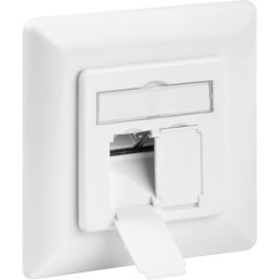 GOOBAY 68246 - Zócalo de red, CAT.6, 2x RJ45, empotrado, blindado, blanc
