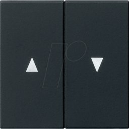 GIRA55 WP2 SW - Rocker flecha 2-fold negro mate