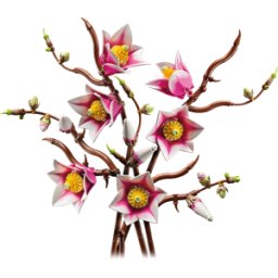 LEGO 11510 - LEGO® botanicals - ramas de magnolia