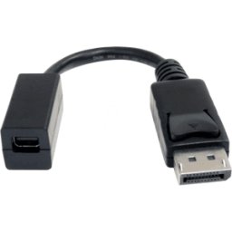STARTECH.COM ST DP2MDPMF6IN - Adaptador DisplayPort, enchufe DP a mini zócalo DP