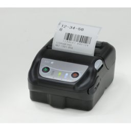 SEIKO INSTRUMENTS SEIKO MP-B21L - Impresora de recibos, POS/POS, móvil, Bluetooth