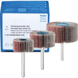 PFERD TOOLS PFERD 44498032 - CONJUNTO DE HERRAMIENTAS DE RECTIFICADO DE BANDEJAS F 3015/4020/