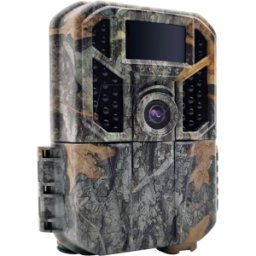 BRAUN PHOTOTECHNIK BRAUN 57650 - Cámara de vigilancia, para observación de la fauna