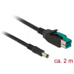 DELOCK 85498 - PoweredUSB cable male 12V > DC 5,5 x 2,1 mm, 2 m