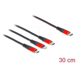 DELOCK 86710 - Cable de carga, 3 en 1, C para Lightning, C, Micro, 0,3 m
