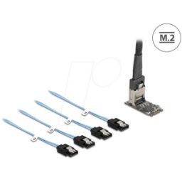 DELOCK 64260 - M.2 2242 tecla B+M > 4x SATA 6 Gb/s, 1m de cable