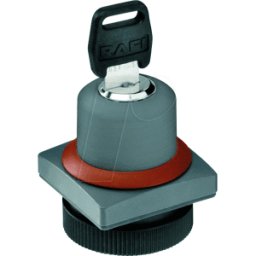 RAFI 40.60.62 - FS+ 22 - Interruptor de llave - cuadrado, metal, 1x40°