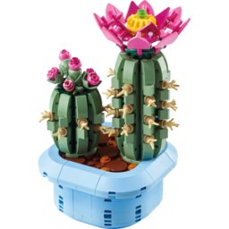 LEGO 11509 - LEGO® Botanicals - Cactus en floración