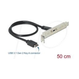 DELOCK 89936 - Bandeja de ranuras 1 puerto USB tipo C™
