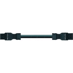 WAGO 891-506-3 - WINSTA® MINI connecting cable, 5-pin, 3 m