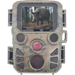 BERGER+SCHRÖTER BS 32364 - Cámara de vigilancia, para observación de la fauna