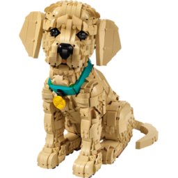 LEGO 11384 - LEGO® iconos - Cachorro Golden retriever
