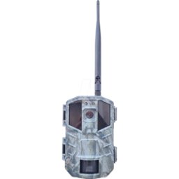 BERGER+SCHRÖTER BS 32179 - Cámara de vigilancia, para observación de fauna, L