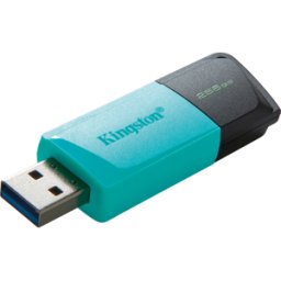 KINGSTON DTXM/256GB - Memoria USB, USB 3,2, 256 GB, DataTraveller Exodia M.