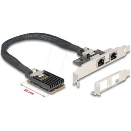 DELOCK 95280 - Tarjeta de red, miniPCIe I/O, Gigabit Ethernet, 2x RJ45