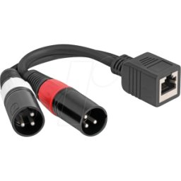 DELOCK 88179 - Extensor y adaptador de audio XLR, Cat. 5, 20 cm