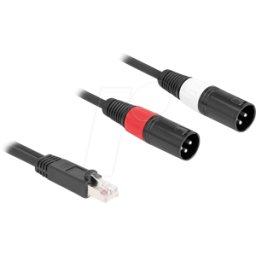 DELOCK 88173 - Extensor y adaptador de audio XLR, Cat. 5, 2 m