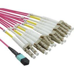 VALUE 21991100 - Cable de fibra óptica, MPO / 12x LC, OM4, 50/125 micras,