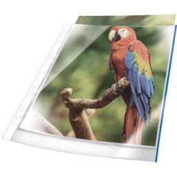DURABLE 265506 - Fundas de folletos, a4, transparente, azul, 25 unidades