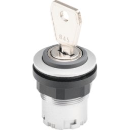 SCHLEGEL JRMSSA18E - Pulsador con llave - RONDEX JEWEL, plateado