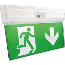 HEITRONIC HEIT DI-502-1404 - Luz de escape LED, incl. Batería de emergencia