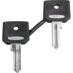 SCHNEIDER ELECTRIC ZBG421E - Llave de repuesto para interruptor de llave, 421E, 2 ud.