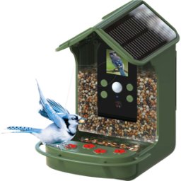 BRAUN PHOTOTECHNIK BRAUN 57647 - Cámara de caza, casa de aves, solar