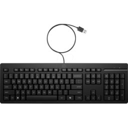 HEWLETT PACKARD HP AY2Y7AA - Teclado, USB, negro, QWERTY