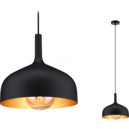 PAULMANN PLM 77062 - Lámpara colgante Embla II, máx. 20 W, E27, negro/oro