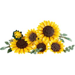 LEGO 11502 - LEGO® Botanicals - Girasoles