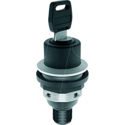 SCHLEGEL SSSA12IIC009 - Key switch - 2 S, silver