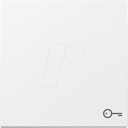 GIRA 3287 03 - Interruptor basculante con símbolo de llave, blanco puro