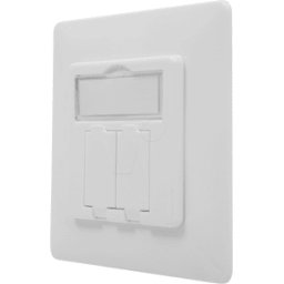 DIGITUS DN-93831 - Caja vacía con placa frontal para 2 módulos Keysto