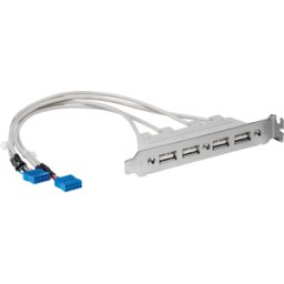 STARTECH.COM ST USBPLATE4 - Placa de ranura 4x puerto USB-A.