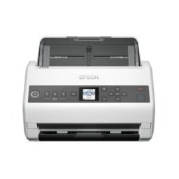 Epson DS-730N 600 x 600 DPI Escáner alimentado con hojas Negro, Gris A4