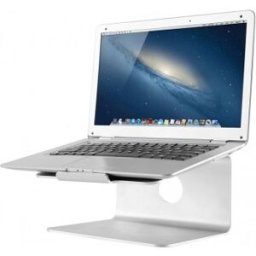 NewStar NS-LS050 - Soporte para ordenador portátil - 17 - plata