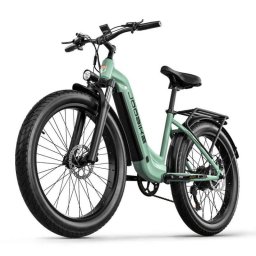 Bicicleta Eléctrica Joobike Joo1 Motor 1000W Batería 48V 17,5Ah Neumáticos 26