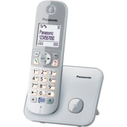 PANASONIC PAN KX-TG6811GS - Teléfono DECT, perl-plata