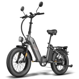 Bicicleta eléctrica FF20 Polar doble batería 500 W 45 km/h LCD L1E-B