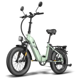 Bicicleta eléctrica FF20 Polar Doble batería 500 W Motor 45 km h LCD L1E-B