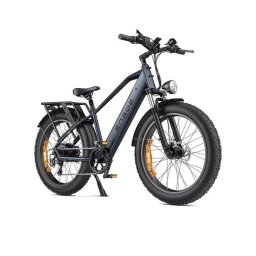 Bicicleta Eléctrica ENGWE E26 250W 48V 16Ah Neumáticos Fat 26