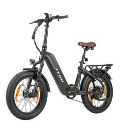 Bicicleta eléctrica TTGO F8 Motor 250W Batería 48V 18Ah Neumáticos 20"x3.0