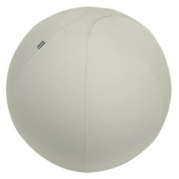 Balón de asiento Leitz Ergo Active 65cm Gris Antideslizante