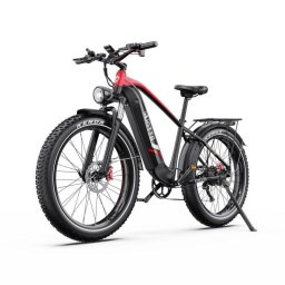 Bicicleta eléctrica DUOTTS F26 Lite 250 W 48 V 18 Ah 26" todoterreno